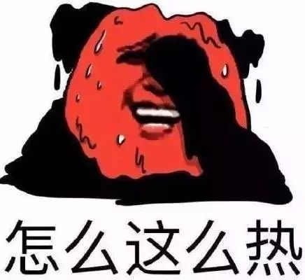 第221页
